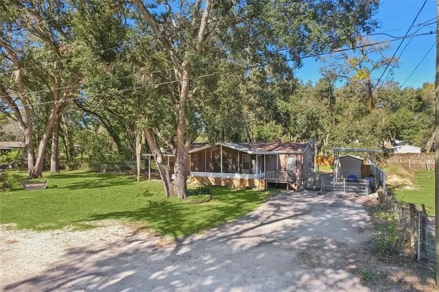 a view of a backyard with plants and large tree