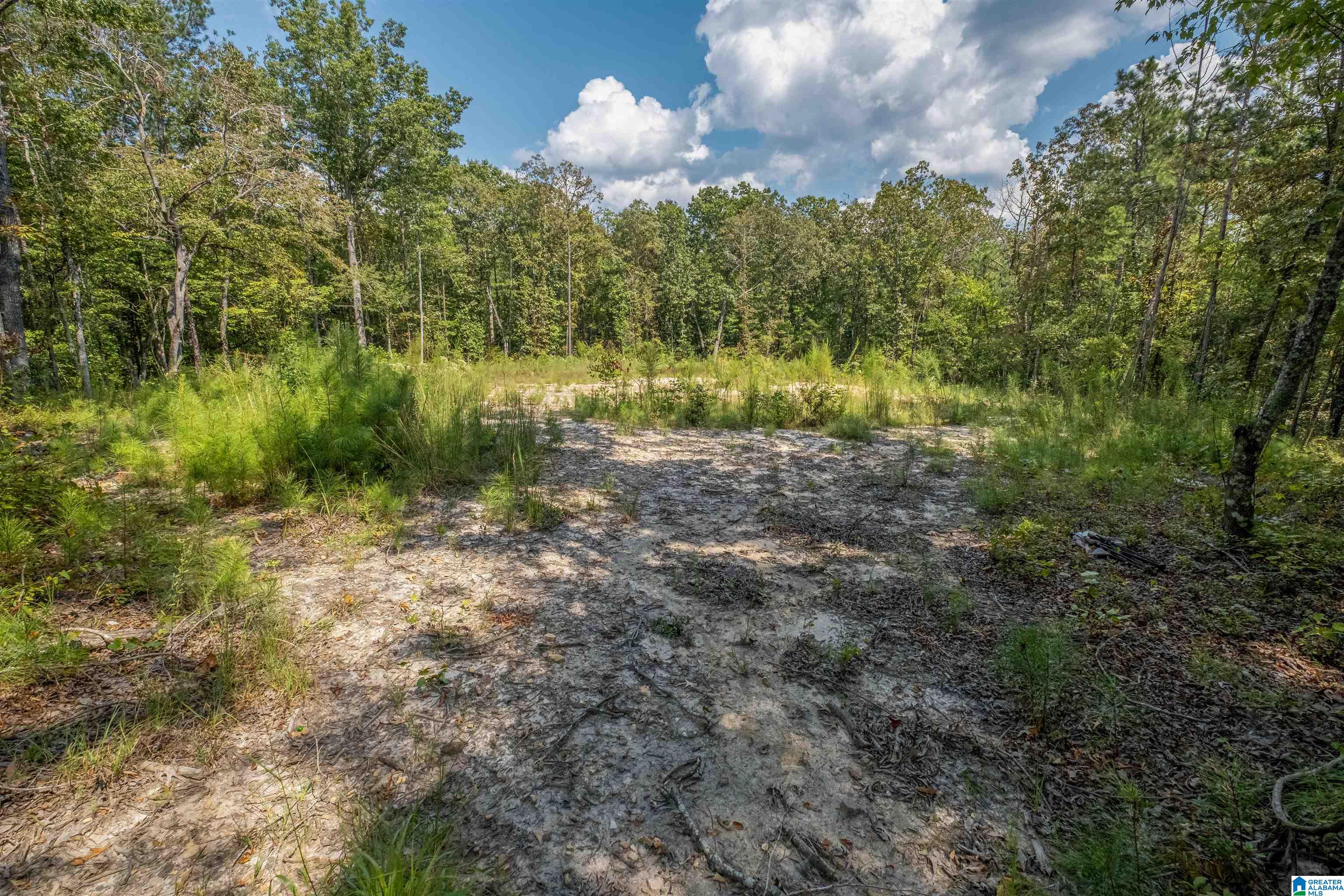 128 County Road 928, Unit 14 Delta, AL 36258 - Photo 6 of 30