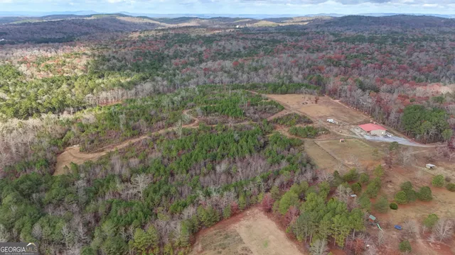 a view of a lush green field with lots of bushes