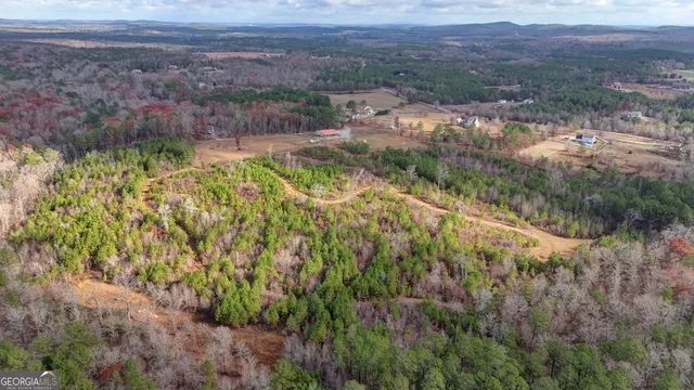 a view of a yard with a garden