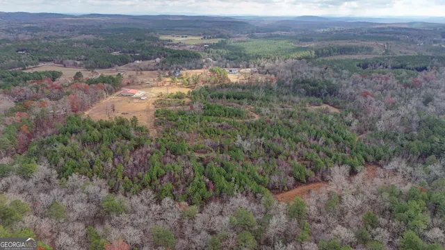 a view of a lush green forest with lots of trees