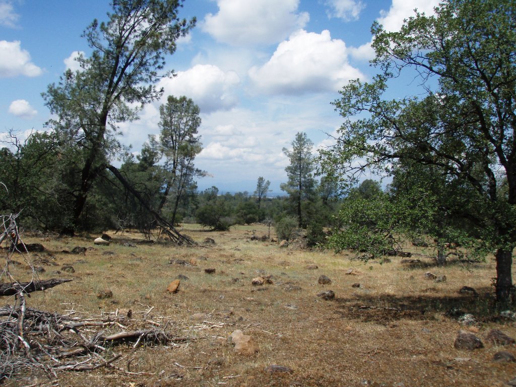 162-ac Off Ash Creek Road Anderson, CA 96007 - Photo 3 of 14 More terrain