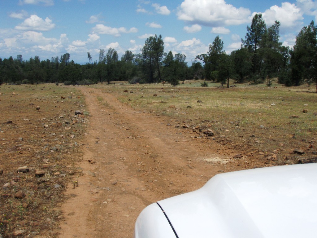 162-ac Off Ash Creek Road Anderson, CA 96007 - Photo 5 of 14 Road on property