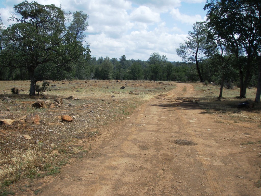 162-ac Off Ash Creek Road Anderson, CA 96007 - Photo 8 of 14 Another road on property