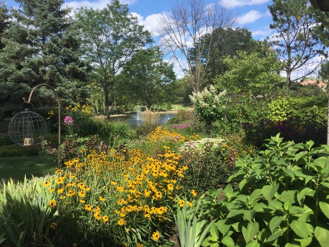 316 Trinity Lane Oak Brook, IL 60523 - Photo 20 of 25 a view of a lake in a forest