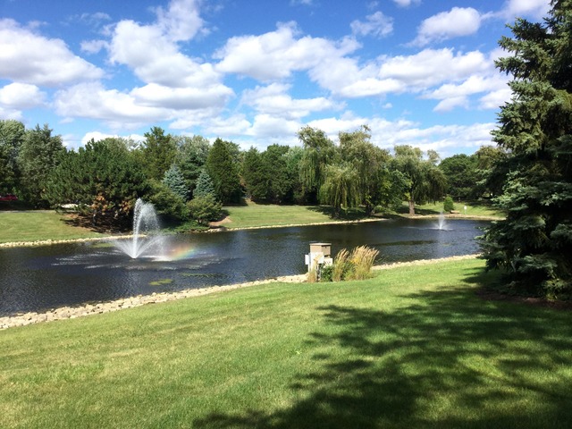 316 Trinity Lane Oak Brook, IL 60523 - Photo 25 of 25 a view of a lake with houses in the background