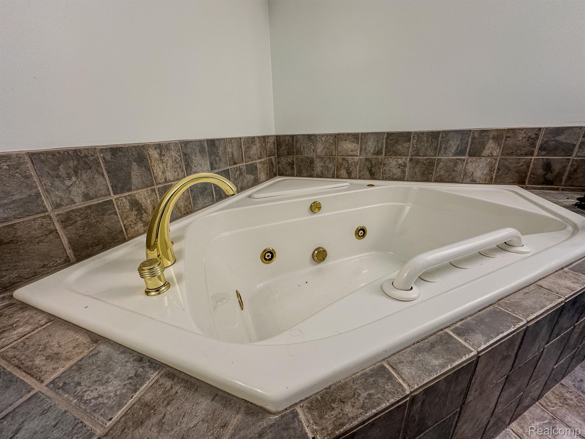 1351 Hunter Road Brighton, MI 48114 - Photo 28 of 38 Gallery Image 28
