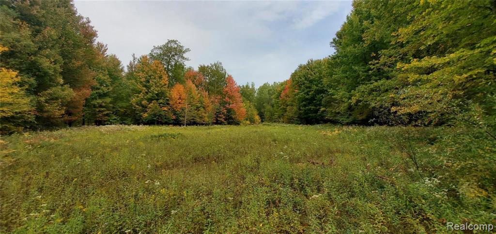 0 East Mannsiding Road Harrison, MI 48625 - Photo 2 of 9