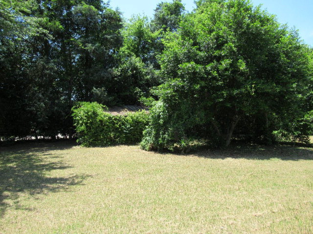 431 Vaughn Road Martinez, GA 30907 - Photo 6 of 23