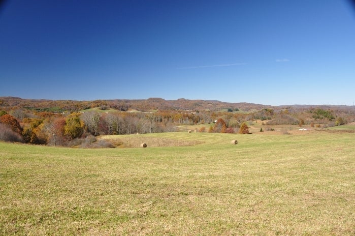 101 Grassy Meadows Road Alderson, WV 24910 - Photo 16 of 40 Grassy Meadows Farm - Tour 04
