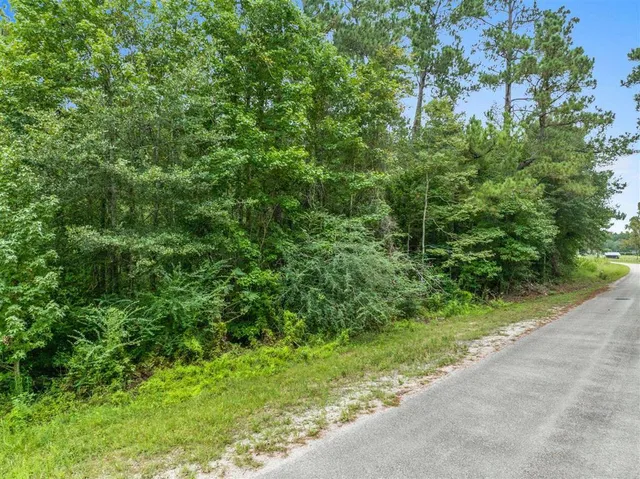 $45,000 | 6 La 110 Highway, Singer, LA 70660