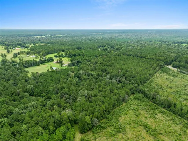 $45,000 | 6 La 110 Highway, Singer, LA 70660