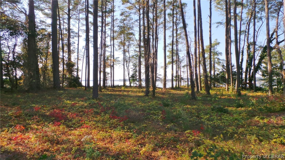 0 Stove Point Road Deltaville, VA 23043 - Photo 2 of 18