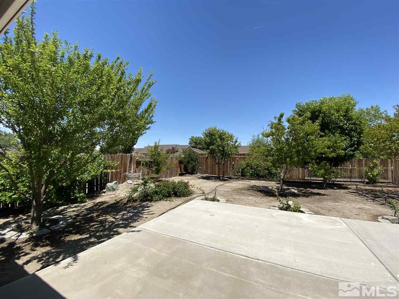 1200 Lattin Road Fallon, NV 89406 - Photo 19 of 19 a view of backyard with large trees