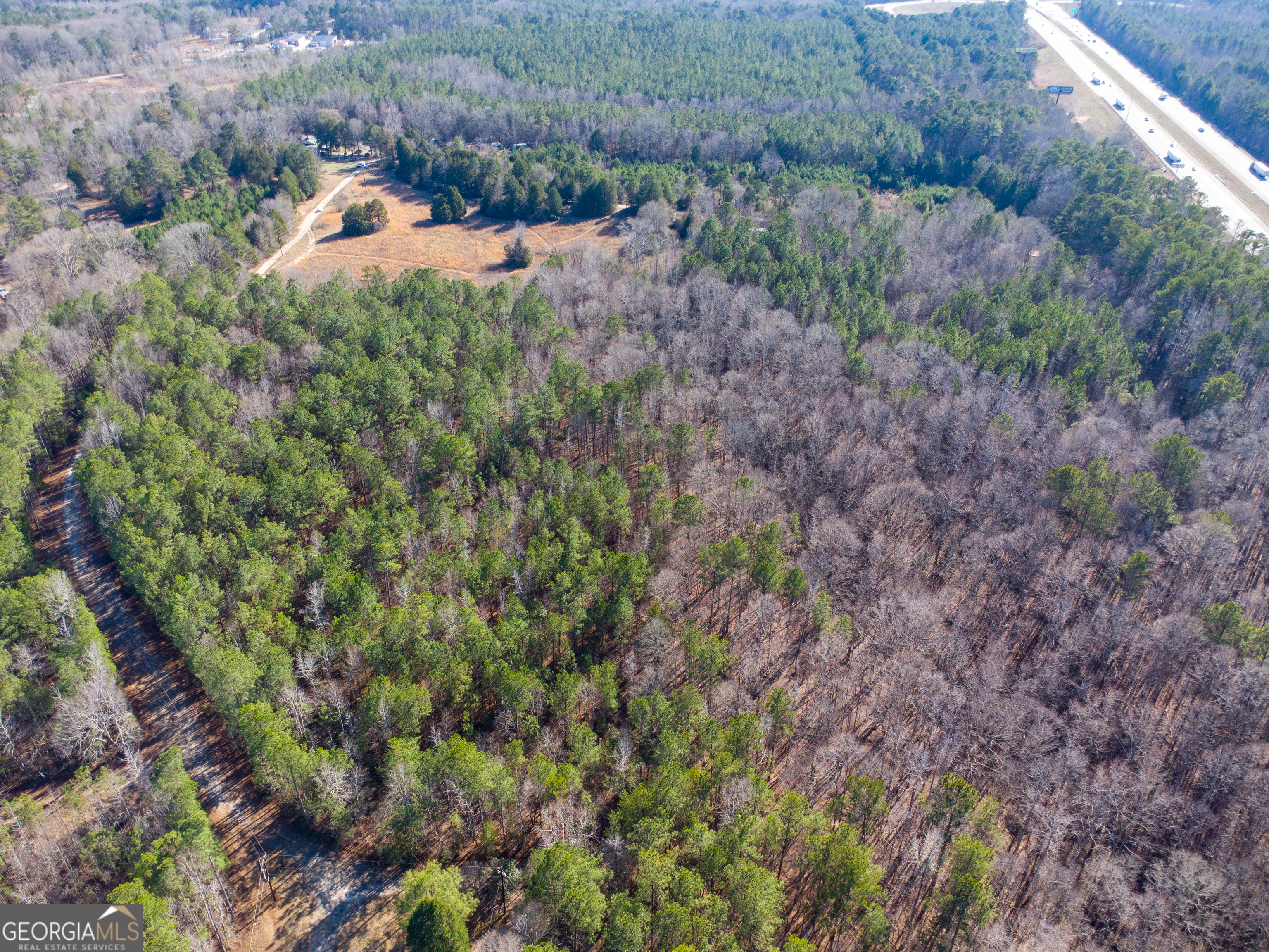 0 Levi Bradbury Road Moreland, GA 30259 - Photo 1 of 5 a view of a yard with a tree