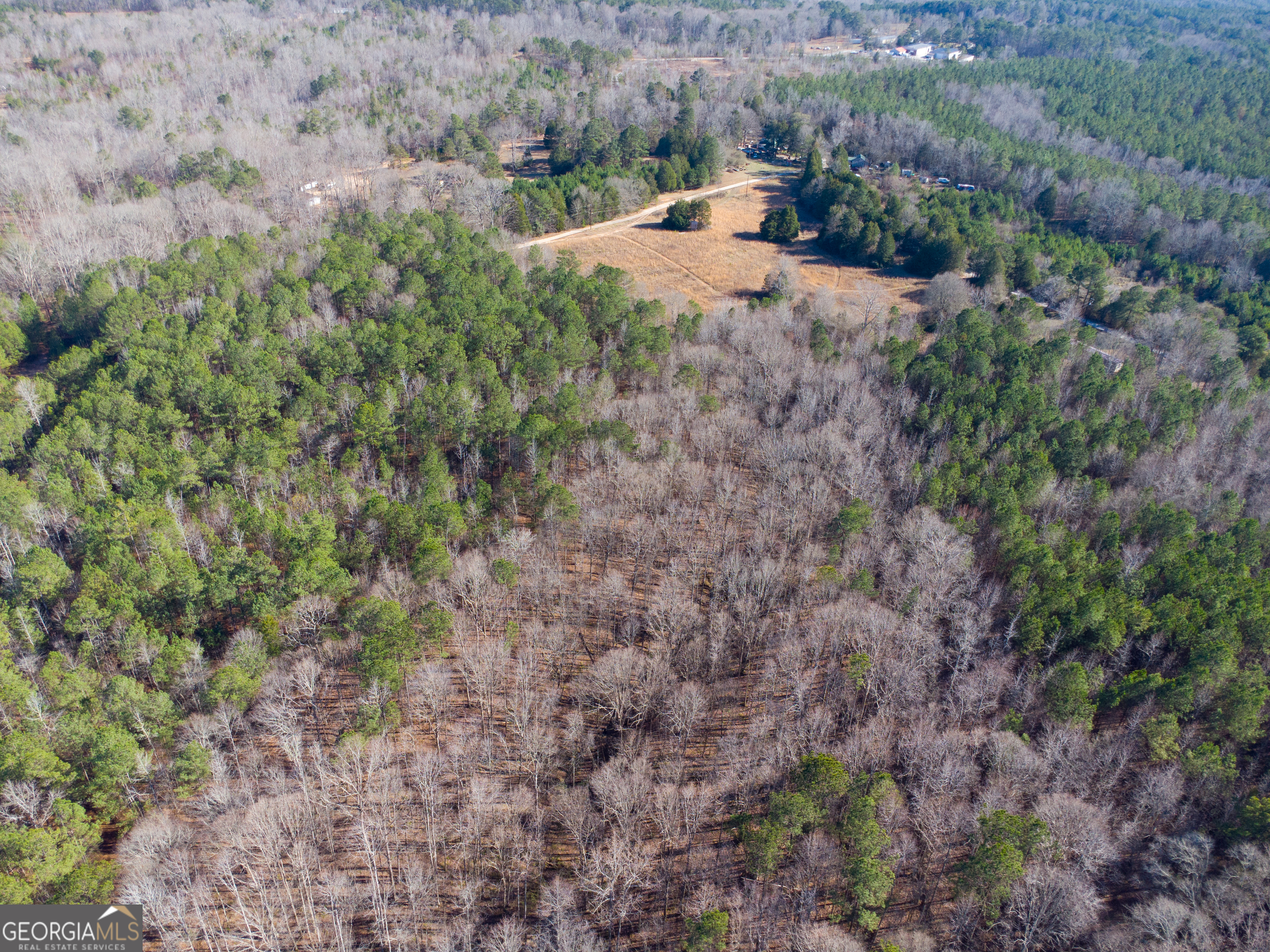 0 Levi Bradbury Road Moreland, GA 30259 - Photo 2 of 5