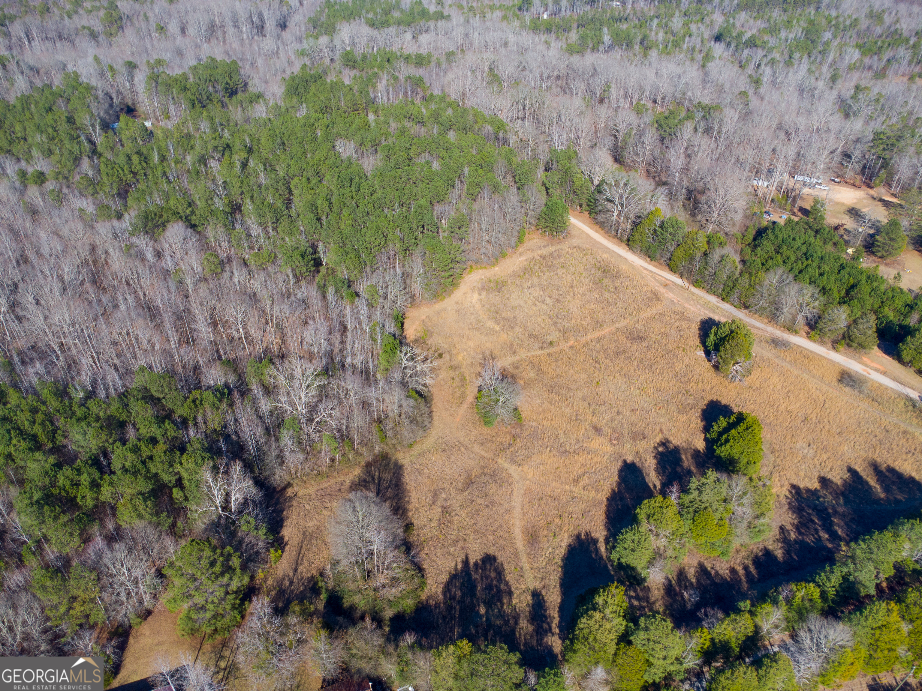 0 Levi Bradbury Road Moreland, GA 30259 - Photo 3 of 5 a view of a yard with plants and large trees