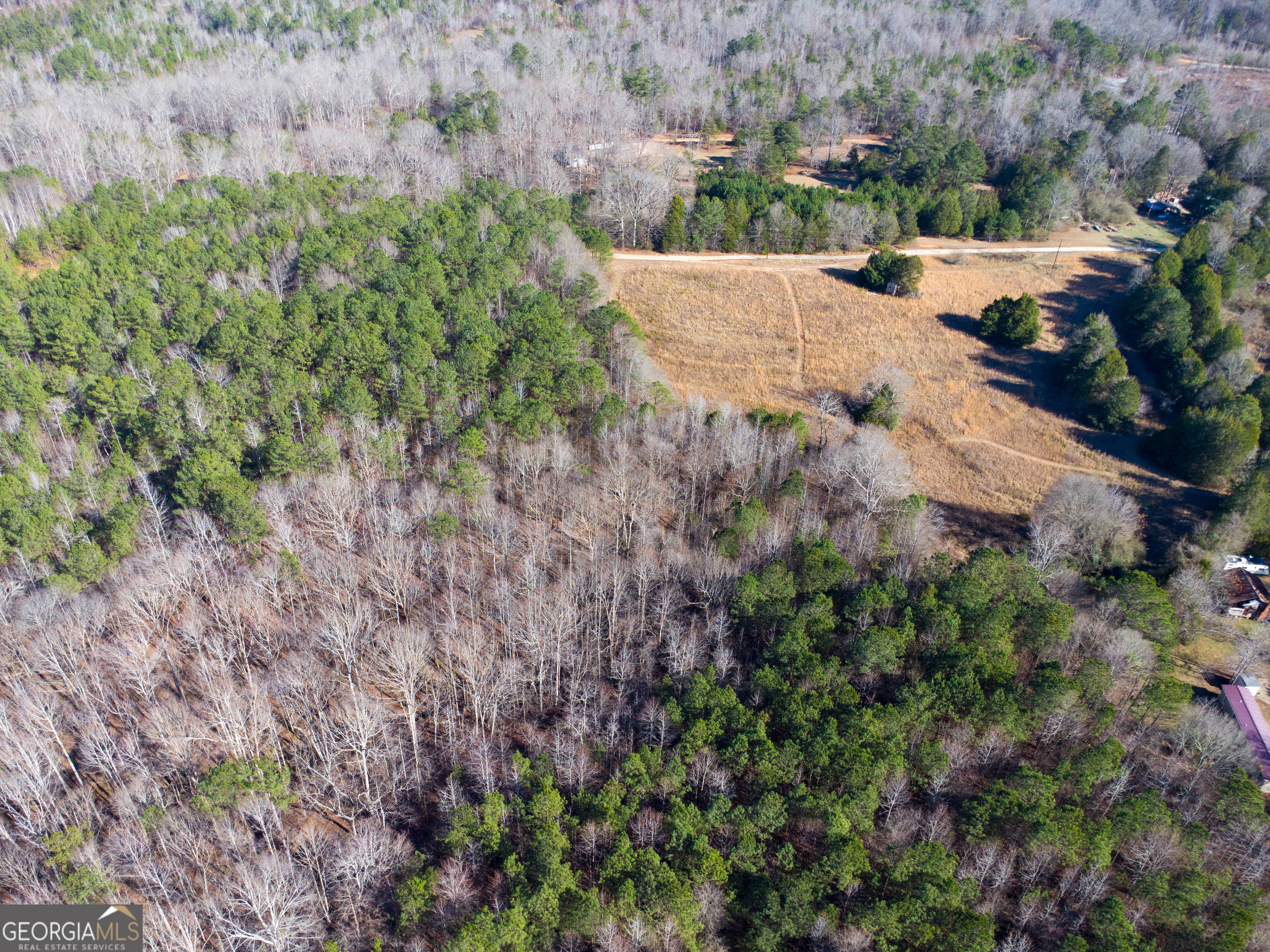 0 Levi Bradbury Road Moreland, GA 30259 - Photo 4 of 5 a view of a yard