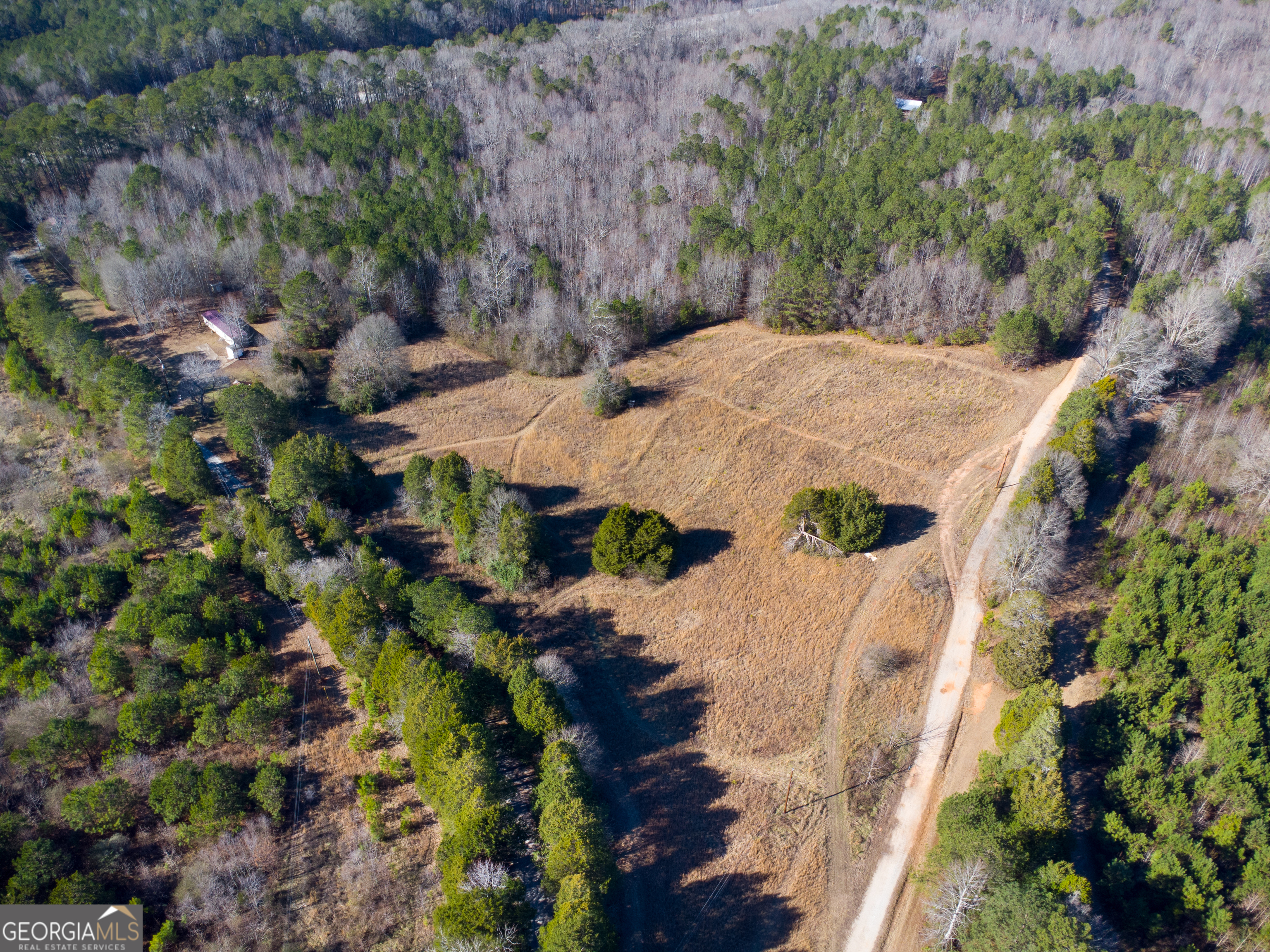 0 Levi Bradbury Road Moreland, GA 30259 - Photo 5 of 5 a view of a backyard of a house