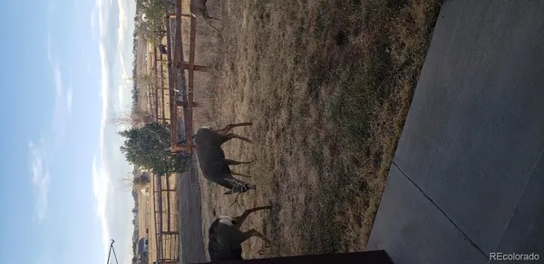 a view of outdoor space yard and porch