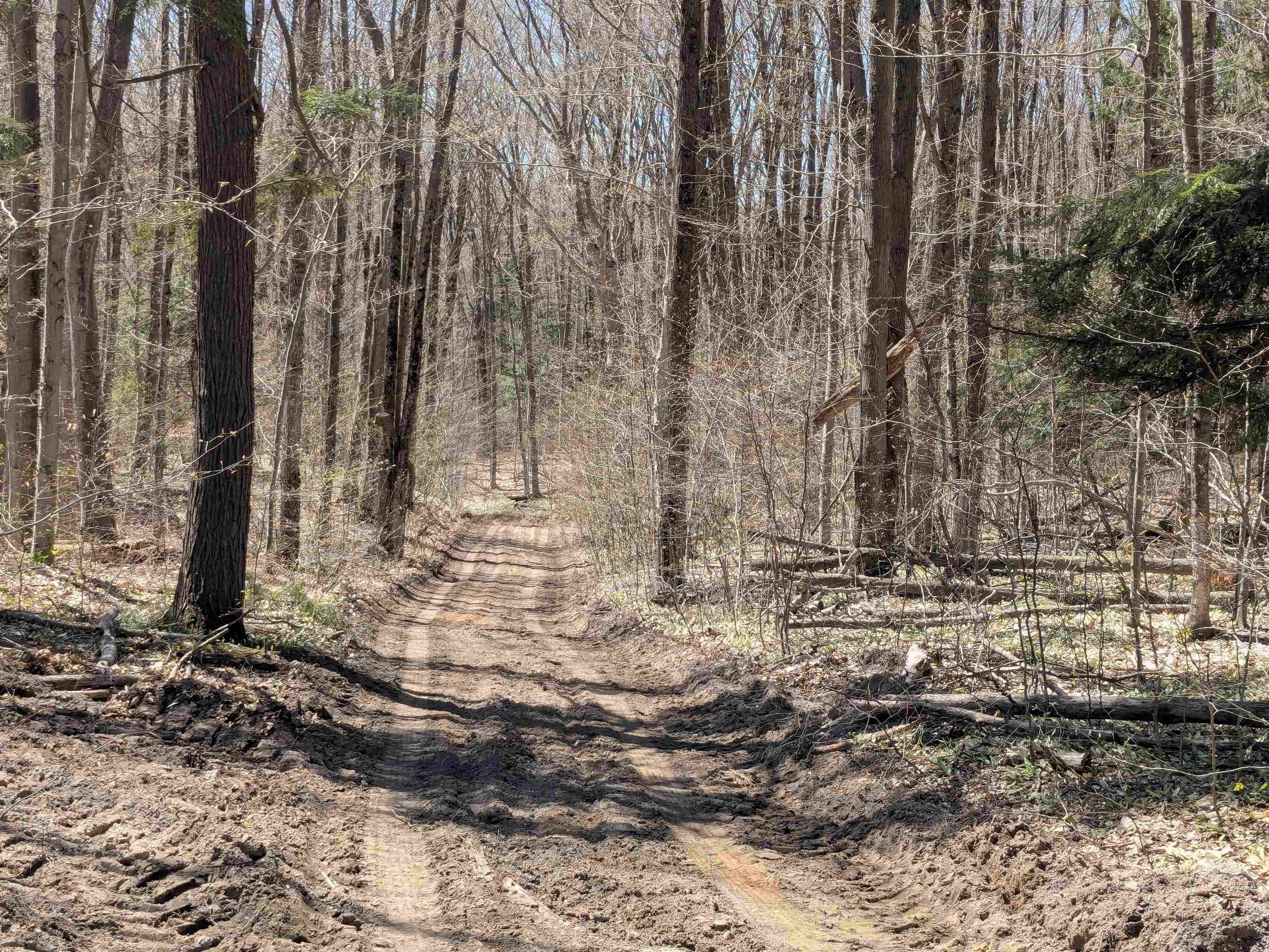 Off Off Stark Road, Unit LOT: 13 Mancelona, MI 49659 - Photo 4 of 10