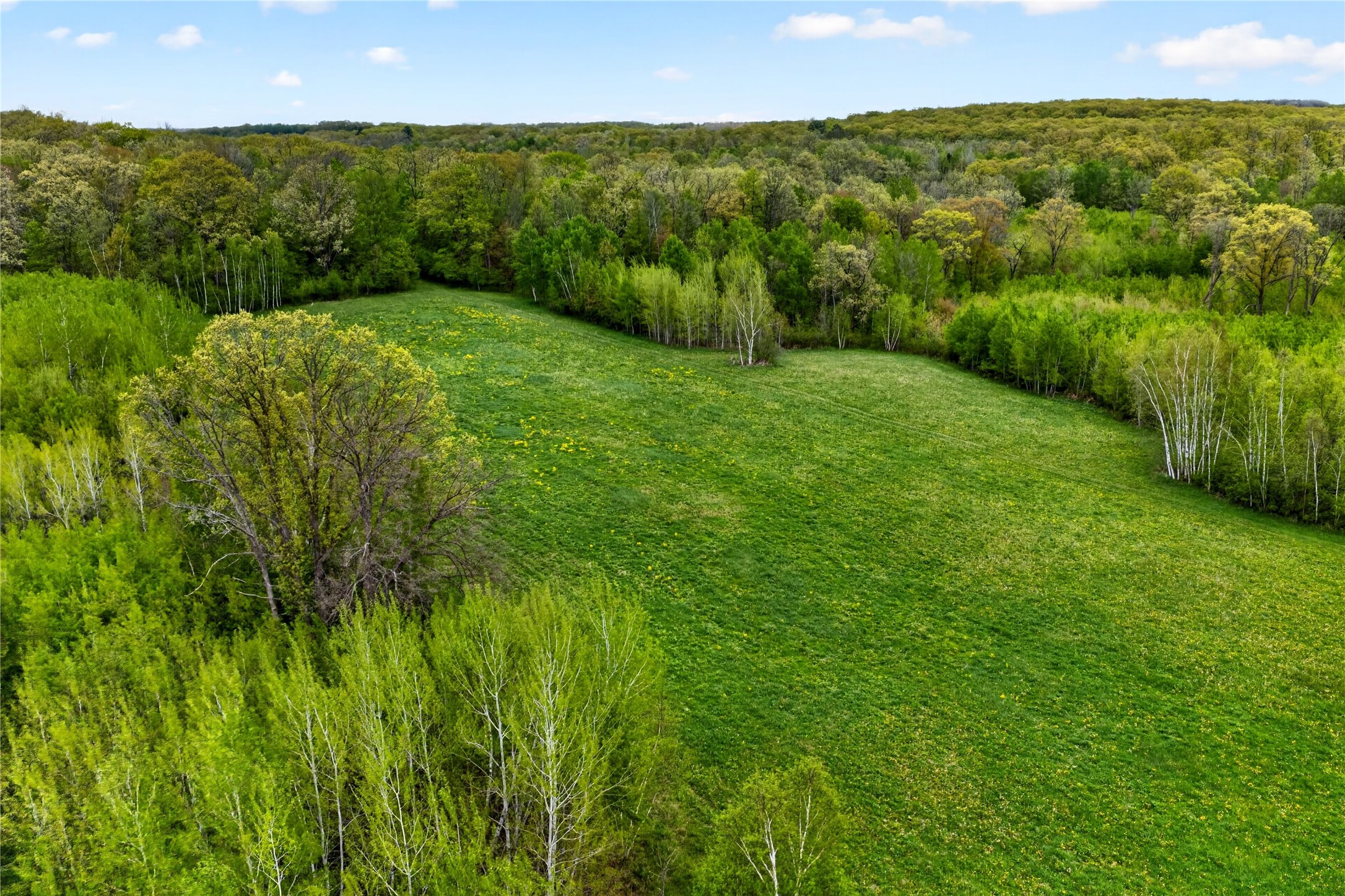 N8771 Fye Road Trego, WI 54888 - Photo 9 of 47