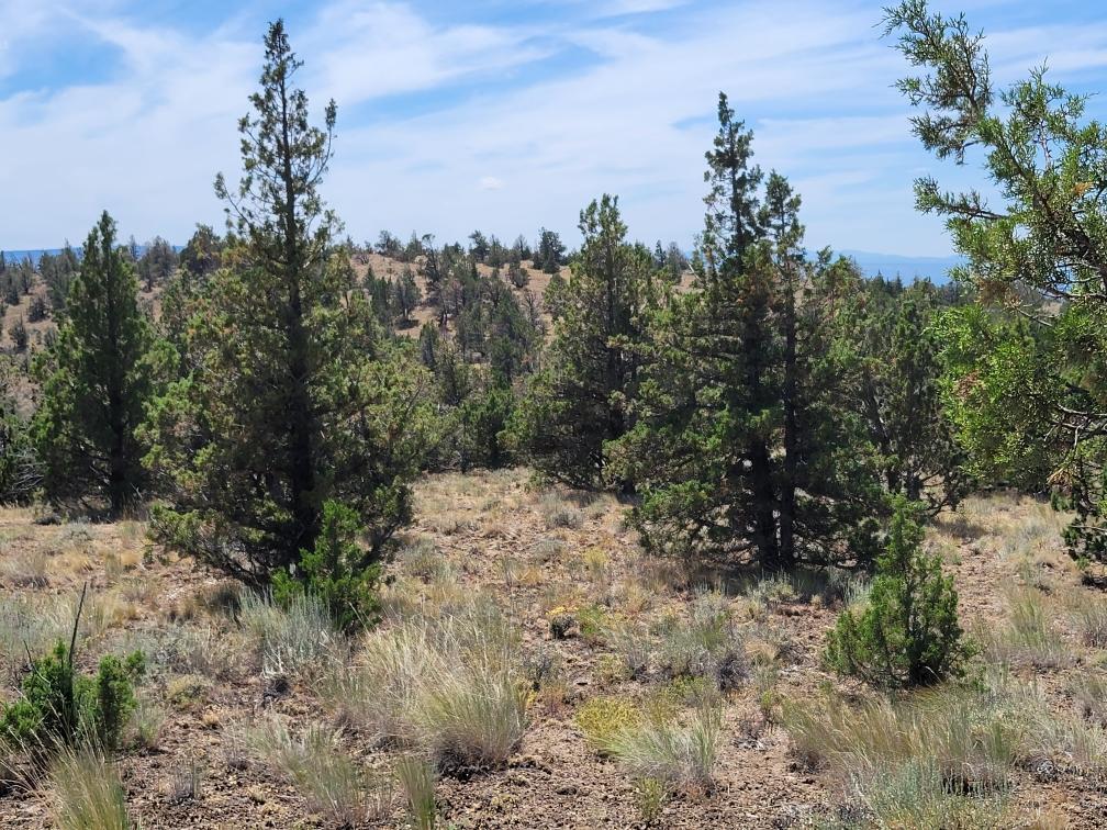 4900 Southeast Deer Run Road Prineville, OR 97754 - Photo 5 of 12 Resized_20230723_134449