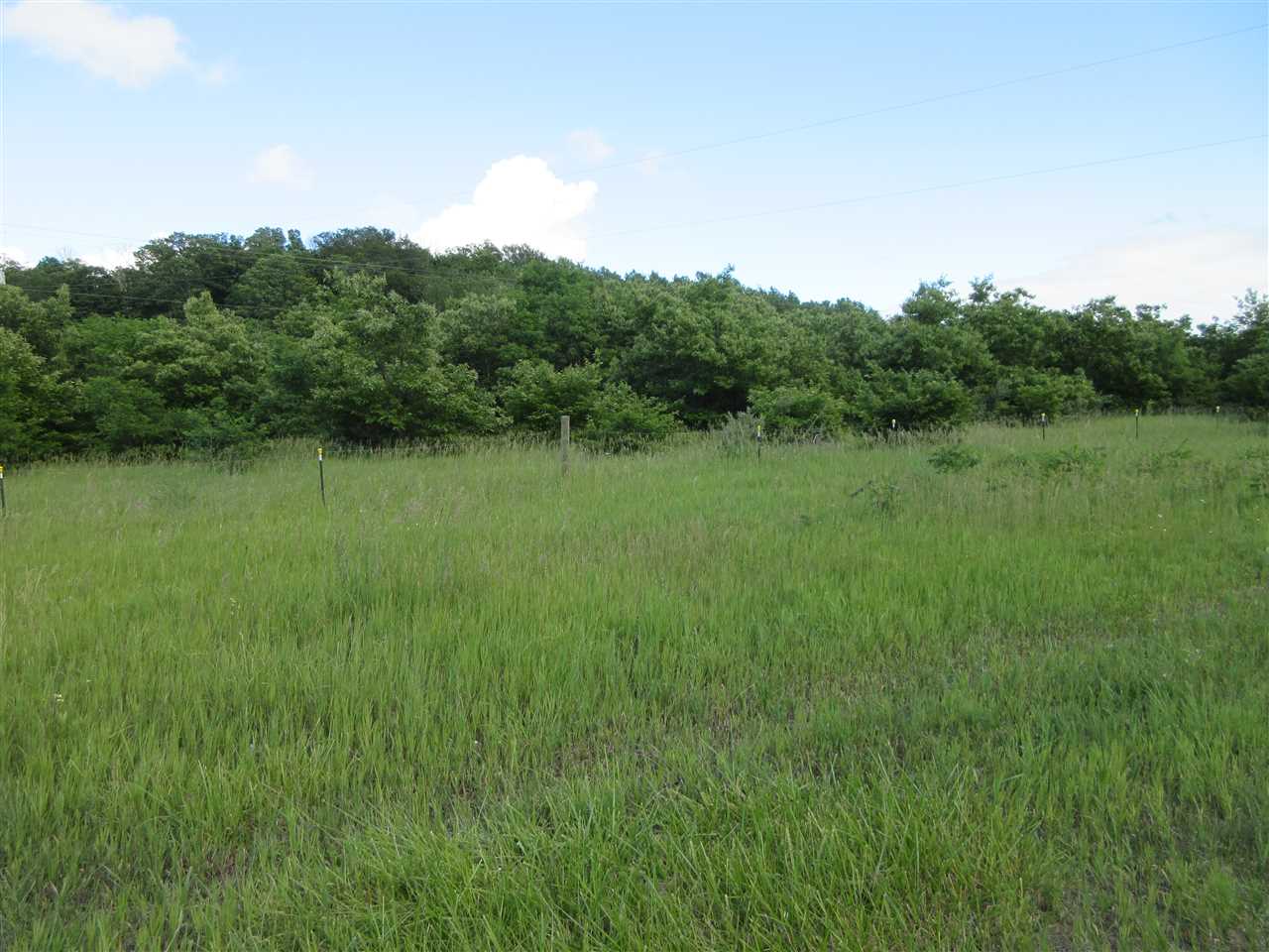 9870 North Manistee County Line Road Benzonia, MI 49616 - Photo 2 of 6 1835094-1.JPG