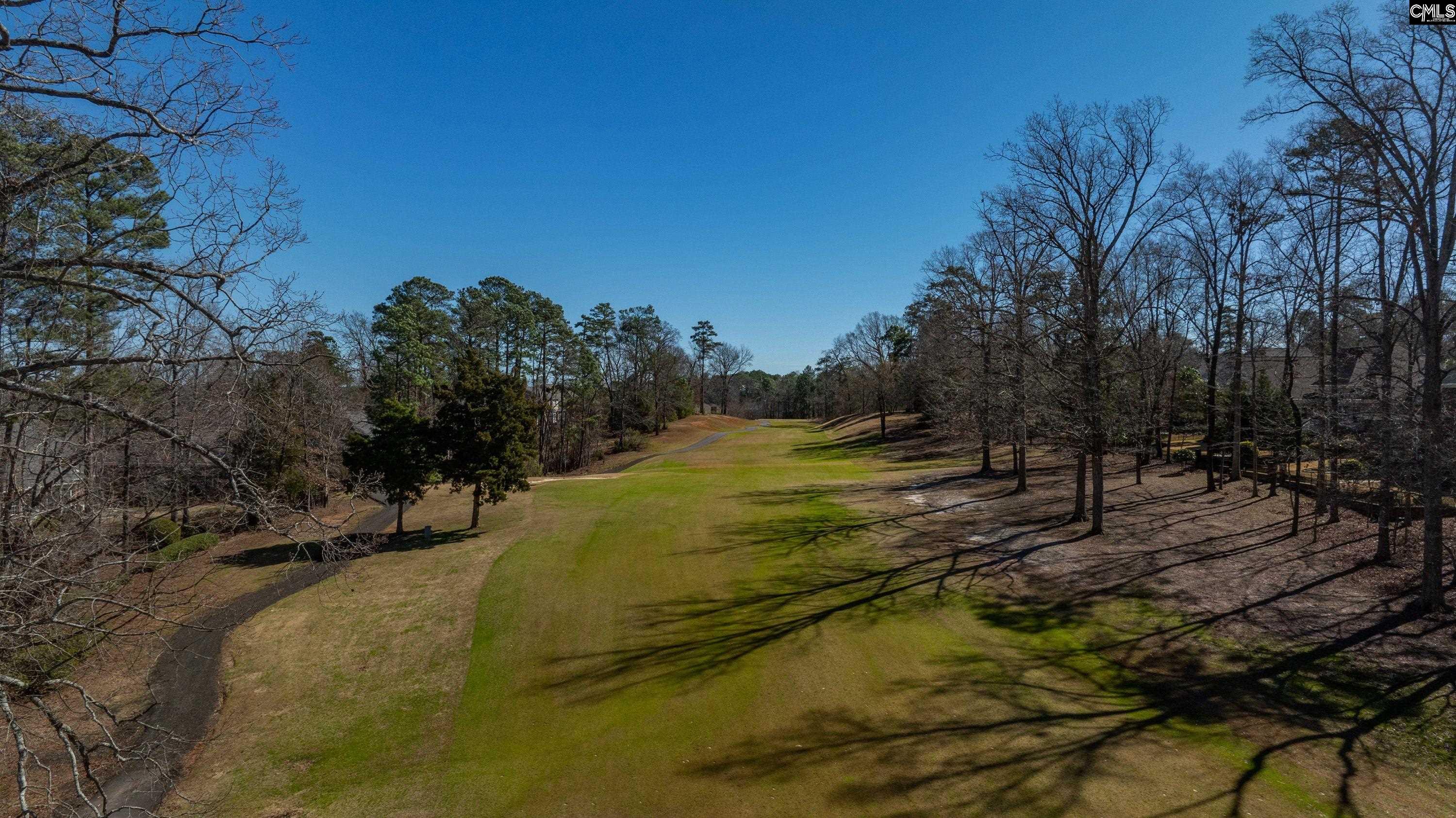 329 Oxenbridge Way Chapin, SC 29036 - Photo 16 of 29