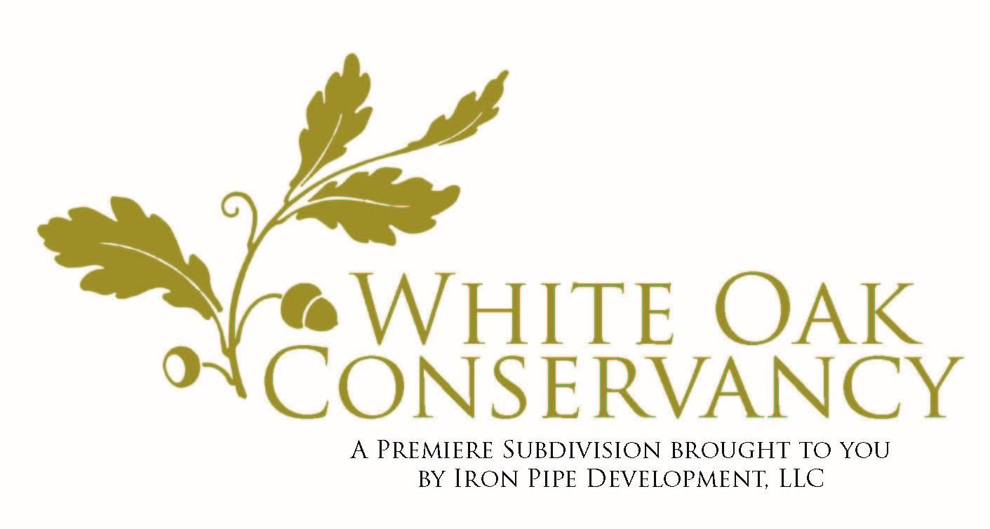 WOC Letterhead