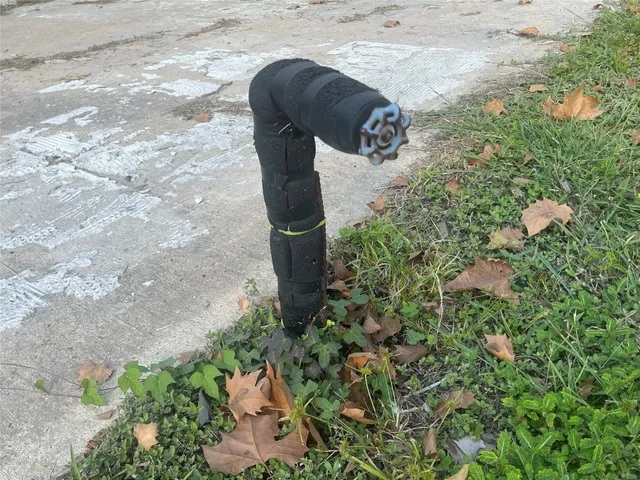 a view of a garden with a tree