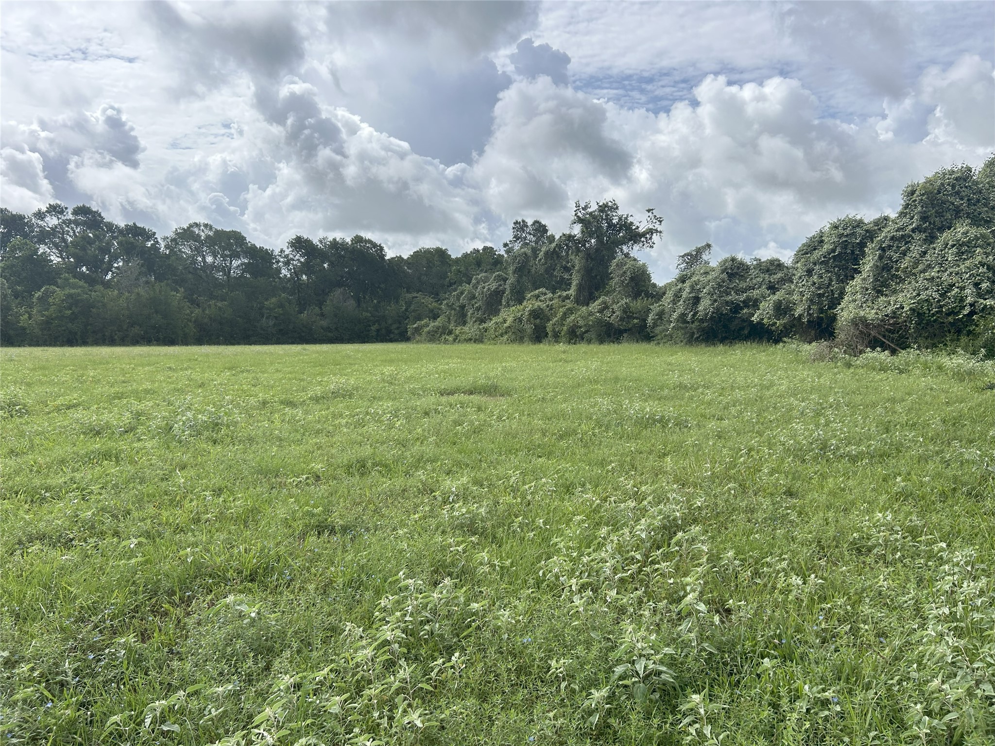 Tbd Holik Road Hempstead, TX 77445 - Photo 28 of 50