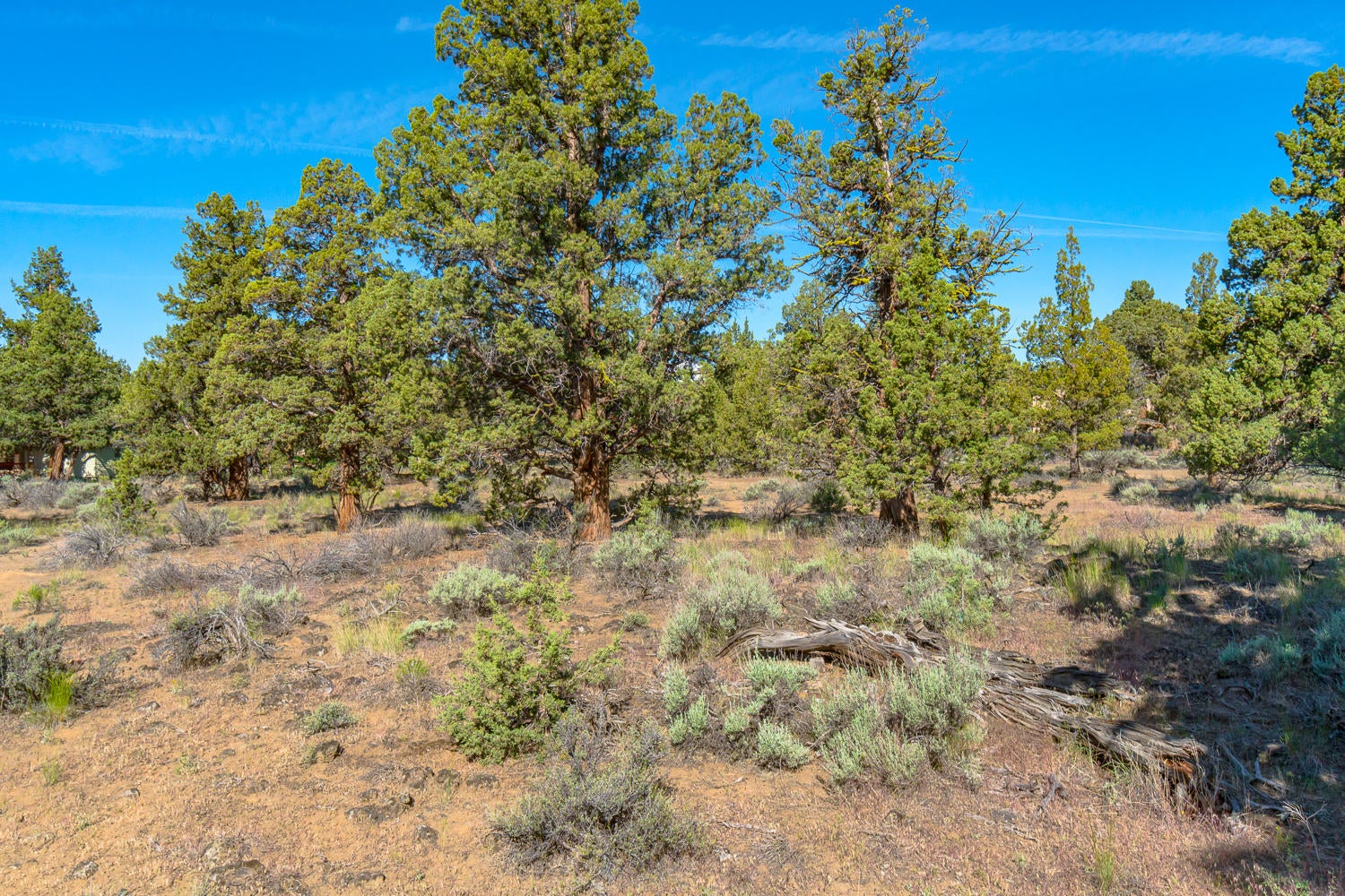 64597 McGrath Road Bend, OR 97701 - Photo 30 of 40 64597-012