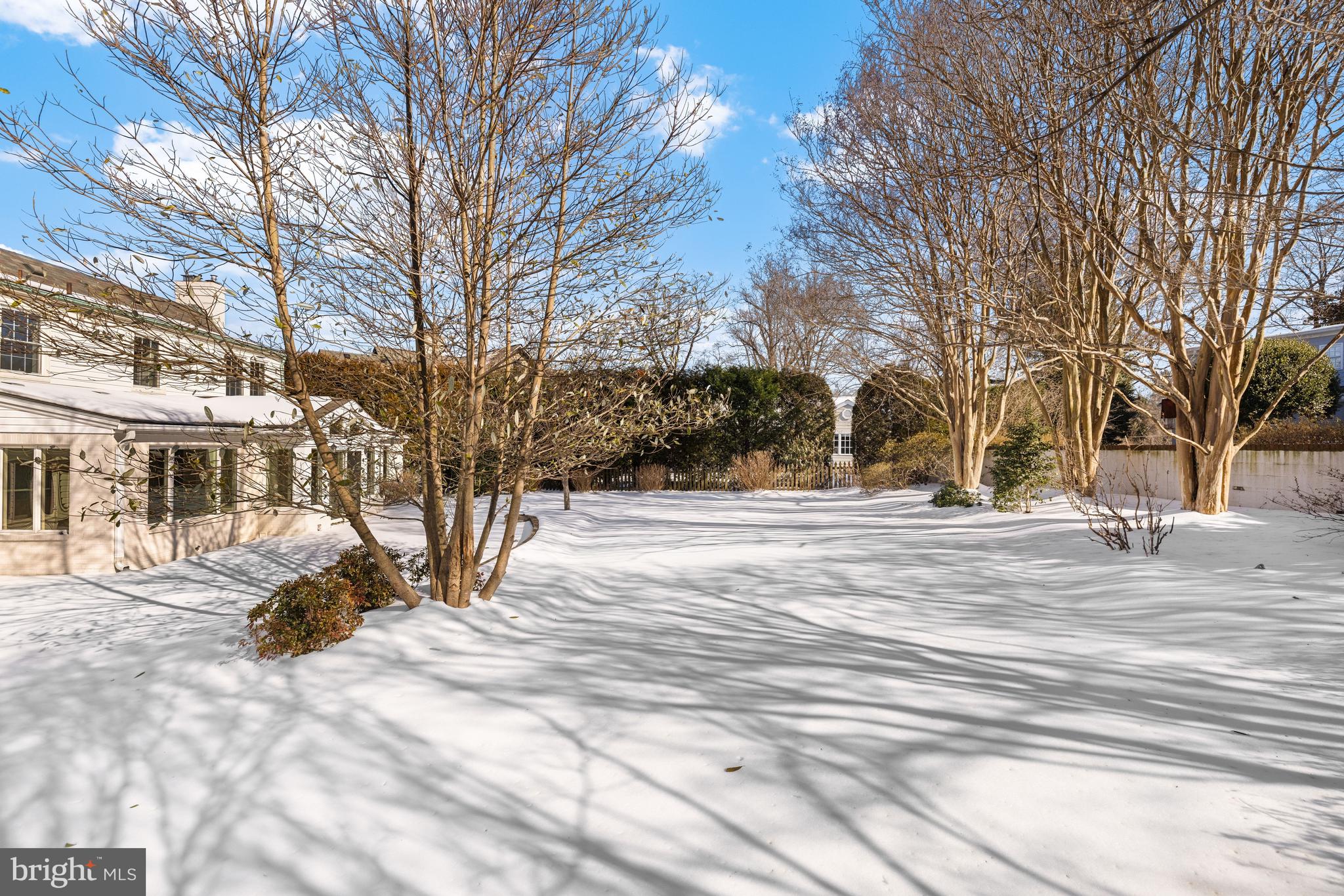 8047 Glendale Road Chevy Chase, MD 20815 - Photo 42 of 42 Rear Yard