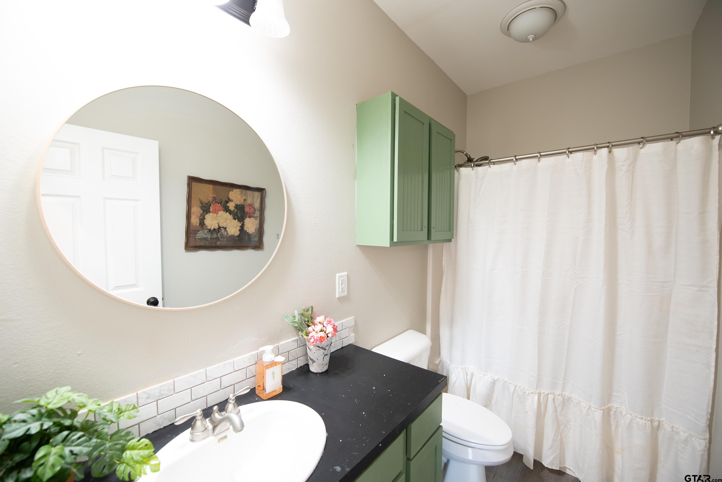 130 County Rd NW 1019 Mount Vernon, TX 75457 - Photo 15 of 17 a bathroom with a toilet a sink and a mirror