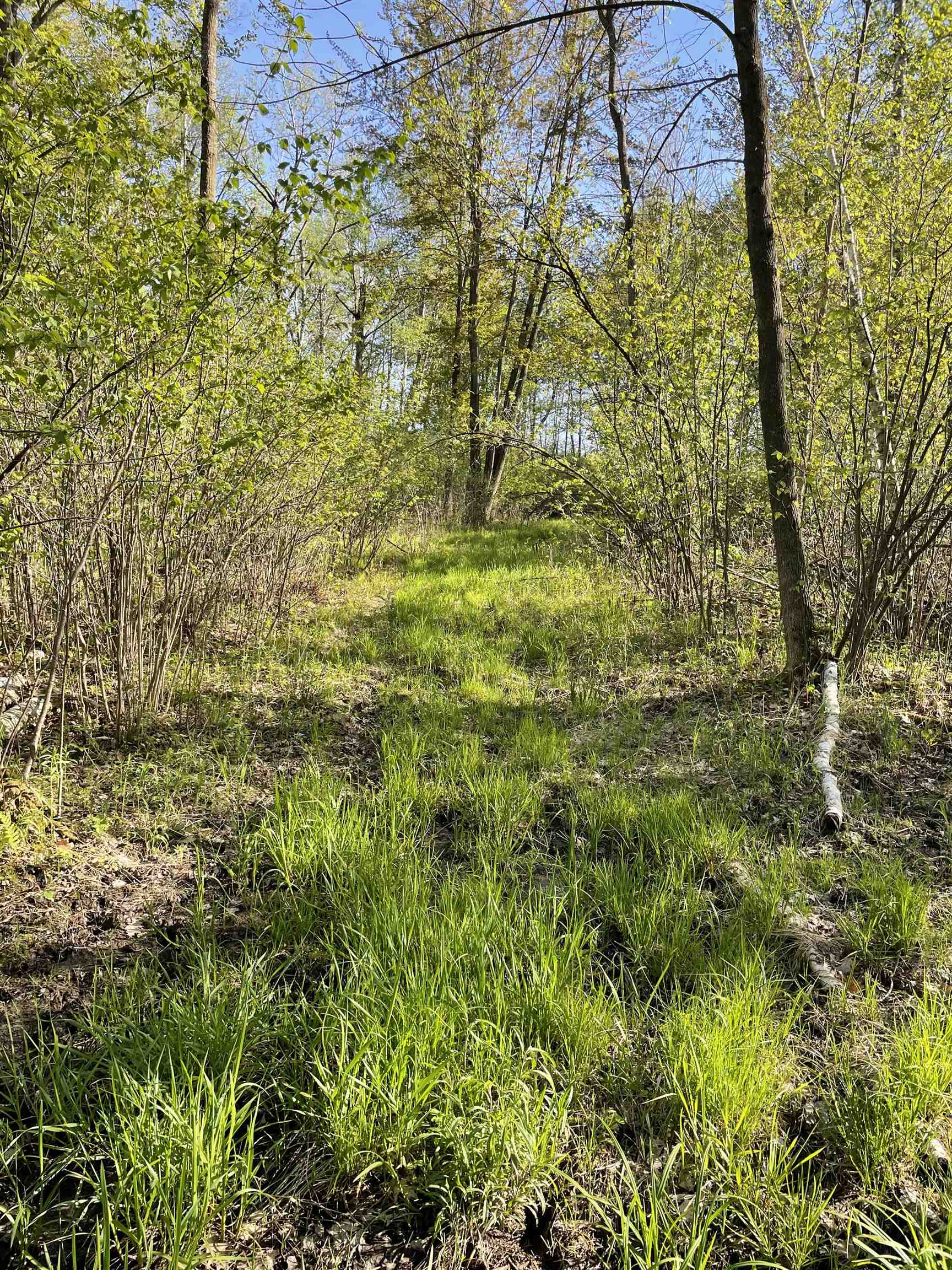 10773 County Rd K Auburndale, WI 54412 - Photo 8 of 27