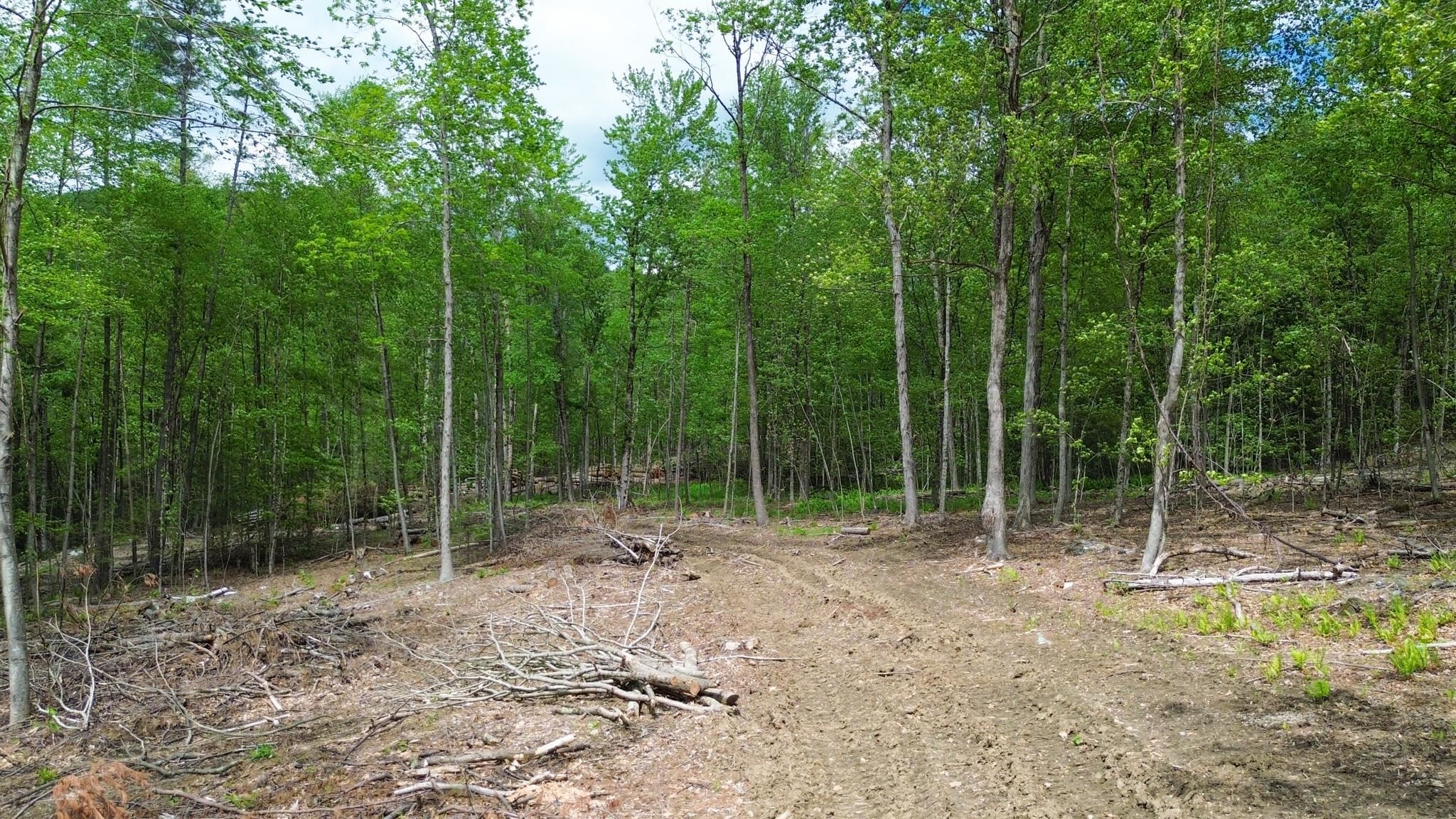Lot 26-4 Plain Road Hinsdale, NH 03451 - Photo 11 of 28