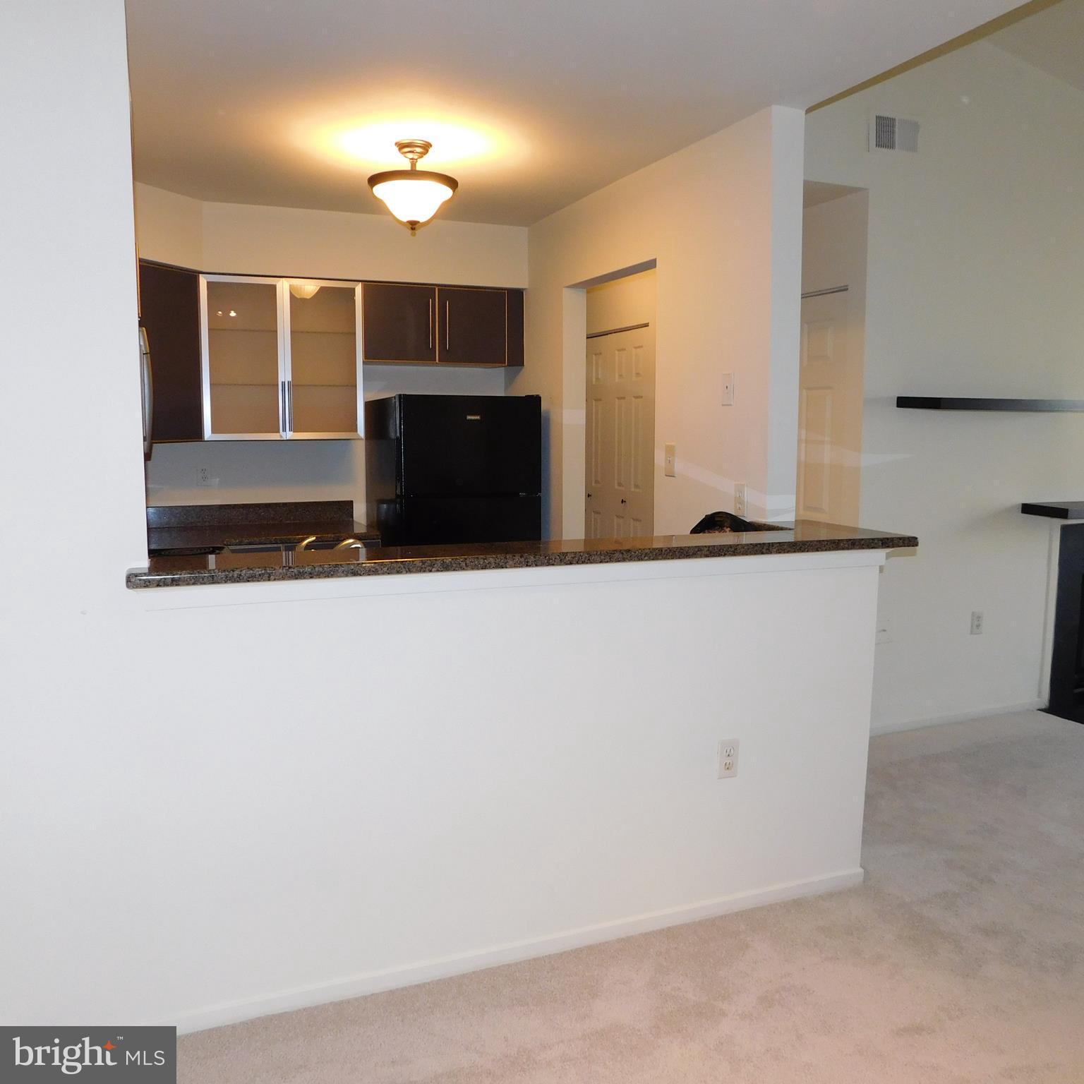7709 Lexton Place, Unit 48 Springfield, VA 22152 - Photo 5 of 28 Kitchen