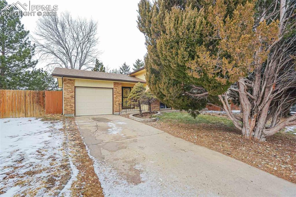 7228 River Bend Road Colorado Springs, CO 80911 - Photo 45 of 48 a view of a backyard with a large tree
