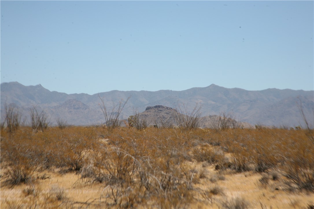 207-17-097 South Cameron Road Yucca, AZ 86438 - Photo 16 of 34