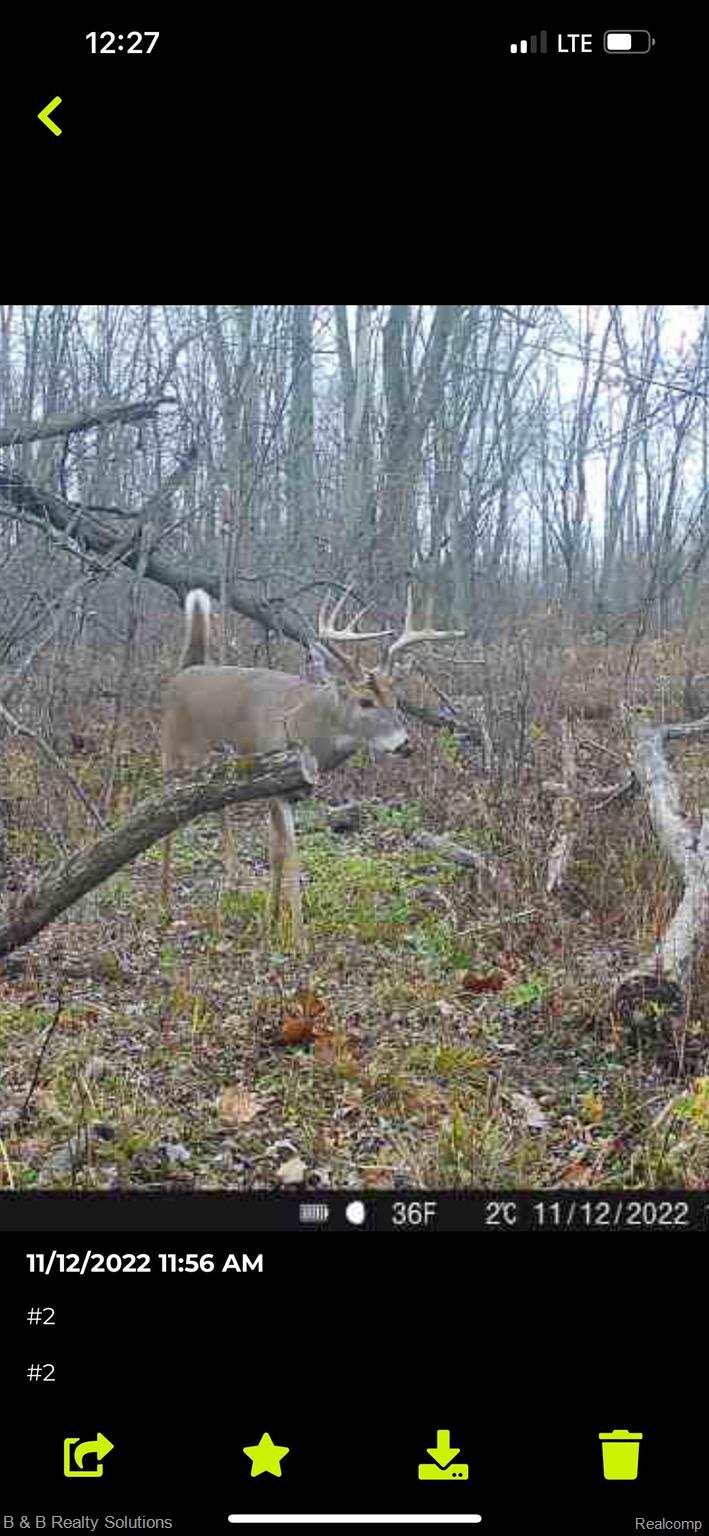 0 Ducker Road North Branch, MI 48461 - Photo 44 of 44 Gallery Image 44