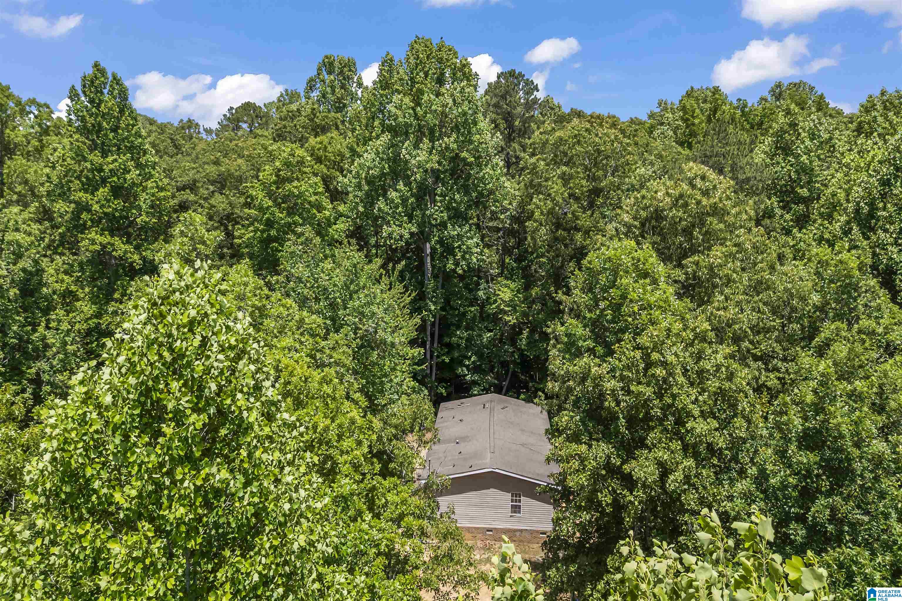 176 Pleasant Trail Jasper, AL 35504 - Photo 36 of 40