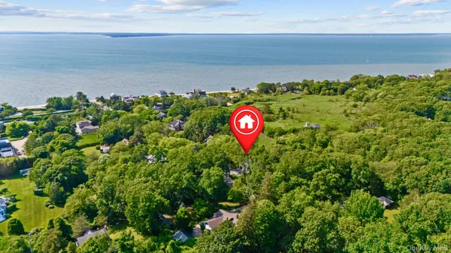 a view of a bunch of trees and bushes