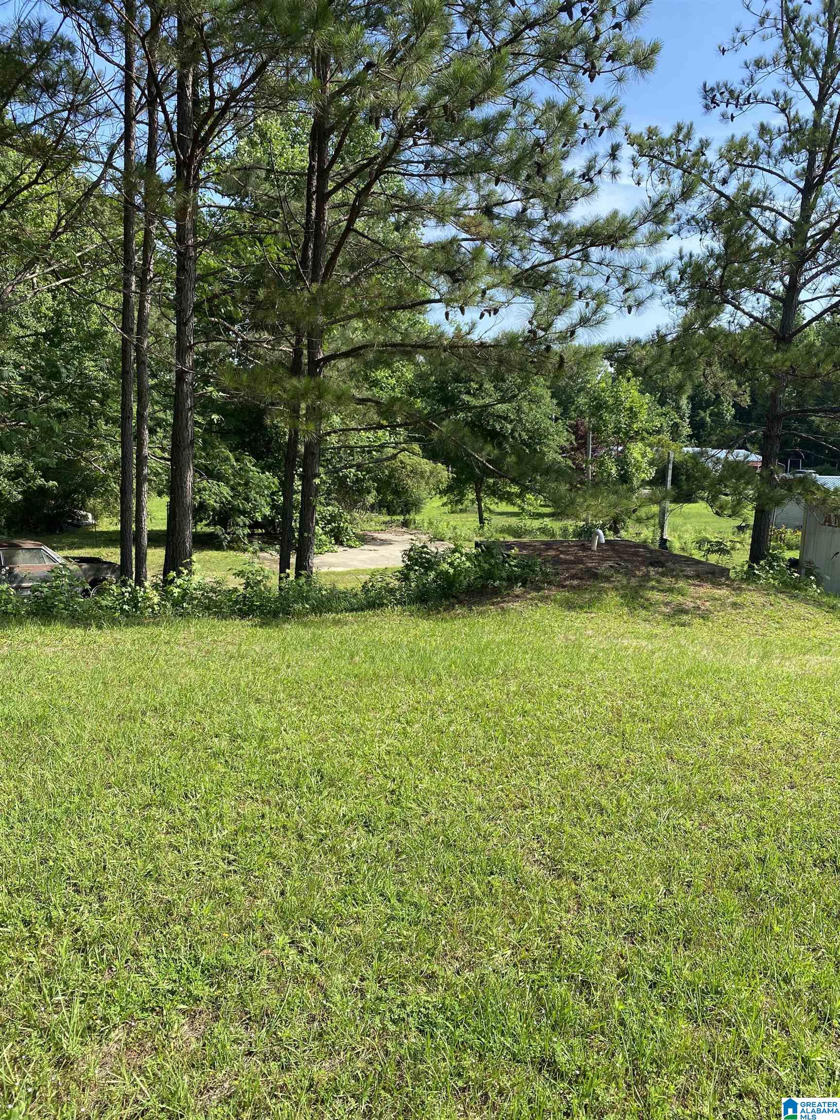 2738 County Road 9 Clanton, AL 35045 - Photo 29 of 38