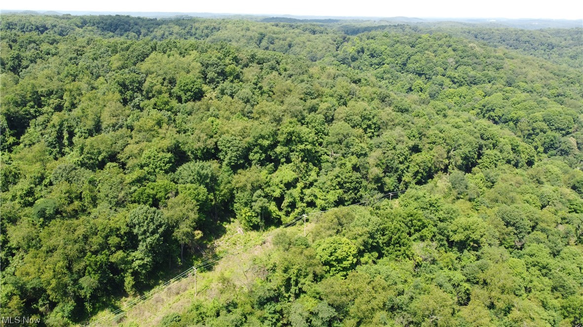 Tbd Locust Hill Road Chester, WV 26034 - Photo 2 of 5 View of birds eye view of property