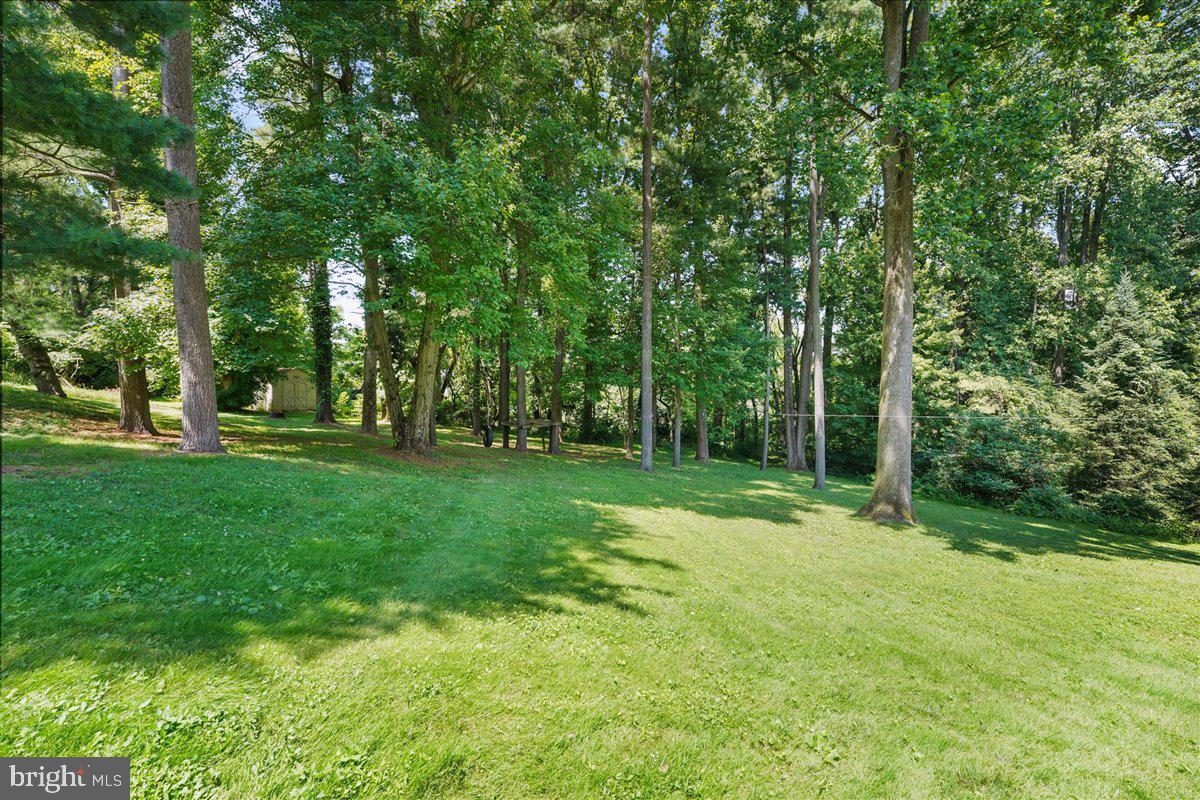 207 Kirkbrae Road Kennett Square, PA 19348 - Photo 46 of 47 Rear Yard