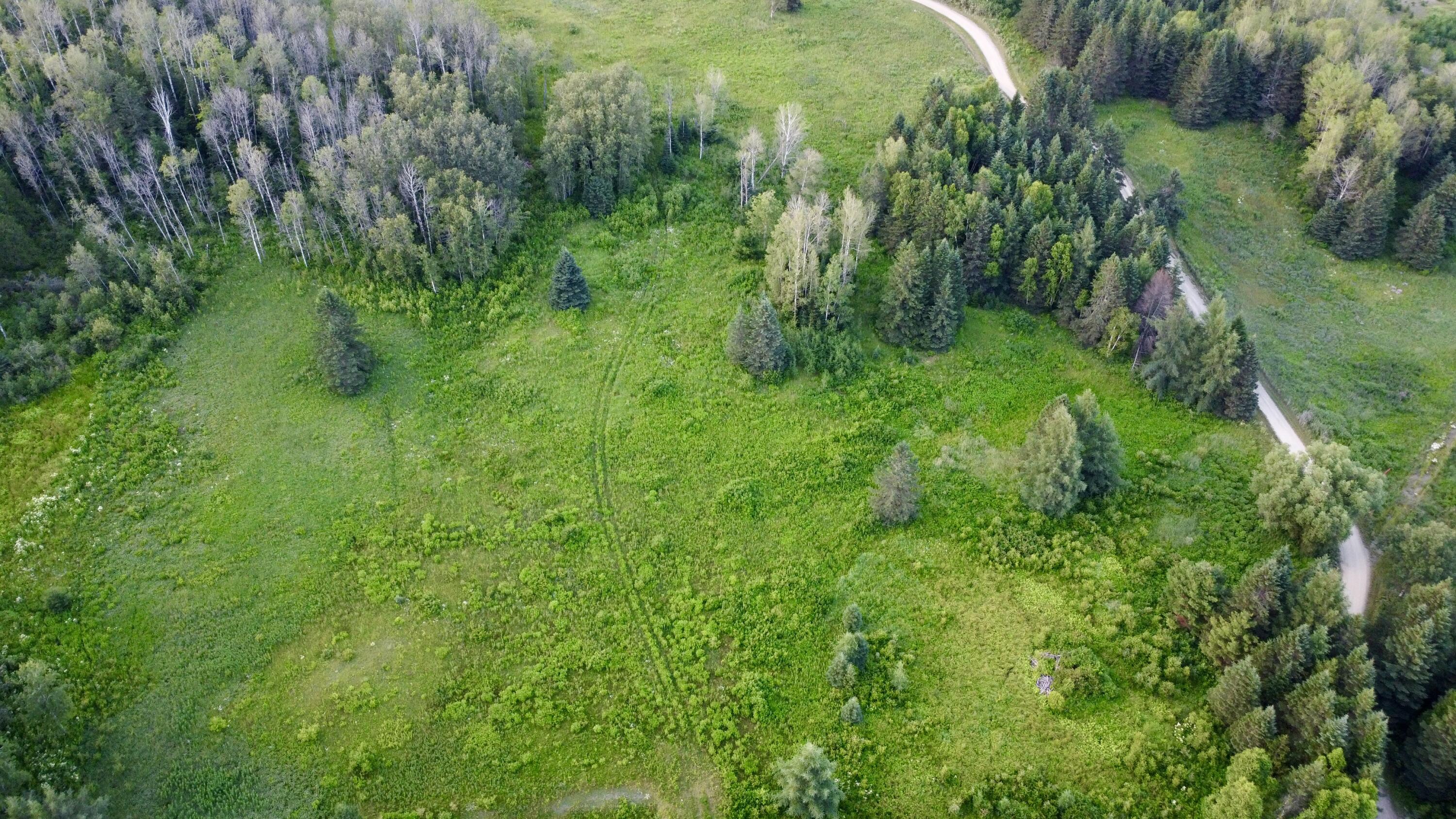 Lot 75 Brisse Culotte Road St. Agatha, ME 04772 - Photo 9 of 15 DJI_0044