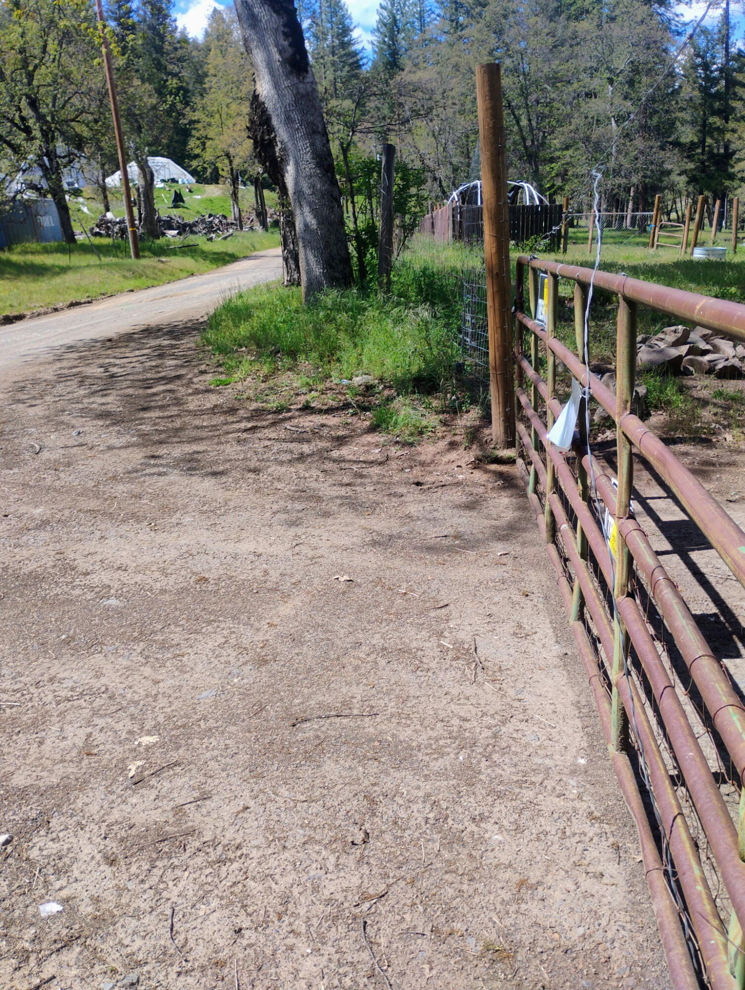 1411 Mc Alexander Road Hayfork, CA 96041 - Photo 7 of 38 McAlexander Rd
