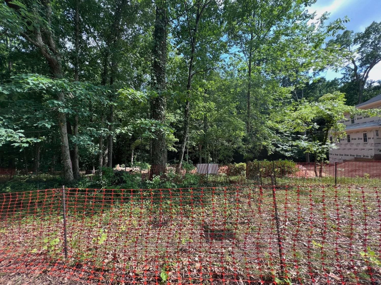 a view of a yard with trees