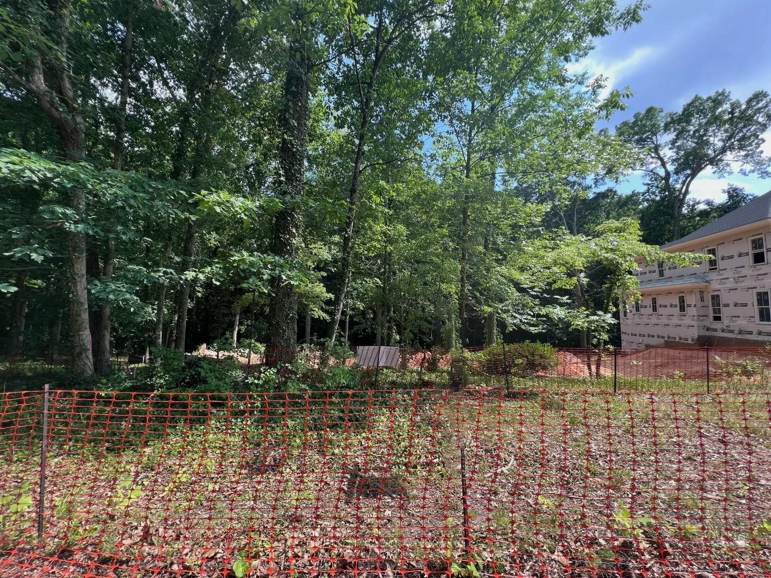 204 Pasquotank Drive Raleigh, NC 27608 - Photo 3 of 4 a view of backyard with green space